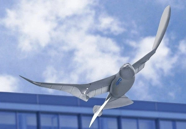 Περιστέρια-drones παρακολουθούν πολίτες στην Κίνα – Χρησιμοποιούνται από τουλάχιστον 30 υπηρεσίες (Βίντεο)